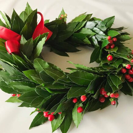 7c2d4c192595b303892ed05d8b23814b6ba0121e