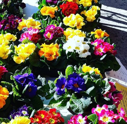 914a31abdf2e653b04b5edc347905dcfe922093e 914a31abdf2e653b04b5edc347905dcfe922093e