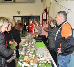 dsc_1039.jpeg dsc_1039.jpeg