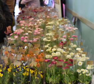 dsc_0896.jpeg dsc_0896.jpeg