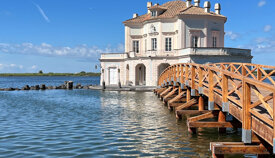 a555c9330b91563d33c1f5052df69c1346abdf01