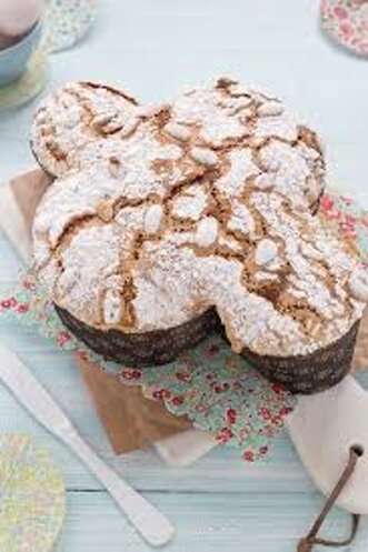 colombe.jpeg colombe.jpeg