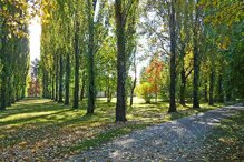 5523b0ffc9a3373223fab913b04e42688c3cdfee