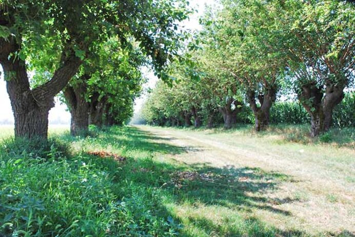 6eb0e55503cedcbf4b8b3901f8c20e9c16ae8855