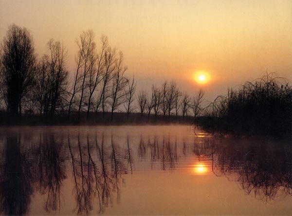 7233ad1dff2ab3c8c15fa579c5a95466674d02c9