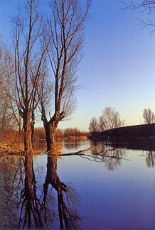 84be6fb999c0ae75e8cf9a5de9ed978c7c2fc105