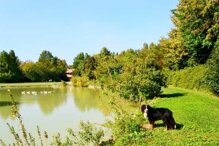 a545742f09b743265faa32a7484a74f0a133121c