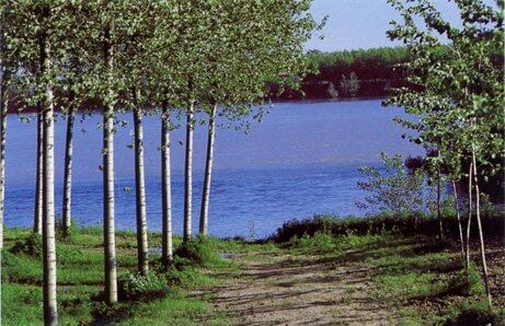 a6ecc5e1270c56b665416792fae9ab43dd141ccc