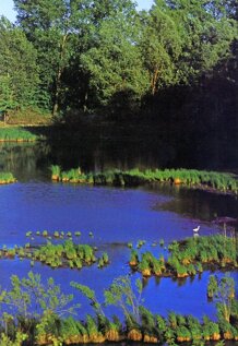 c1657526db11637d98083de9b155dc54bb96dd90