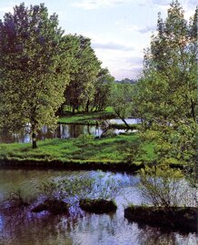 ea3b5e2ceb911a18f29cb8a7c914300b241722d1