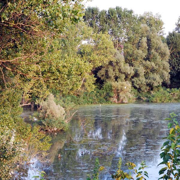 eab551184c2ec25777a2b5a07ae6f24ea07d4c1c