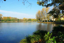 f875af8f77968ce8ff531cb633cdaea5703e606c