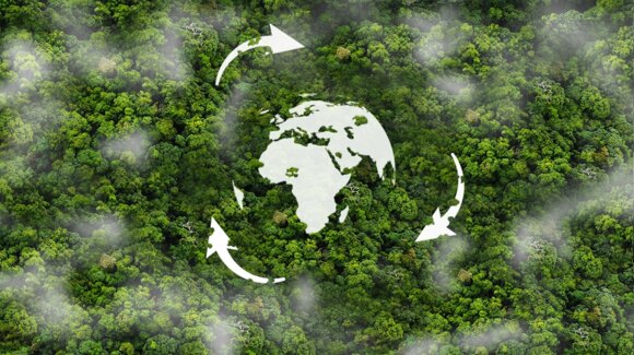 sustainability.jpeg