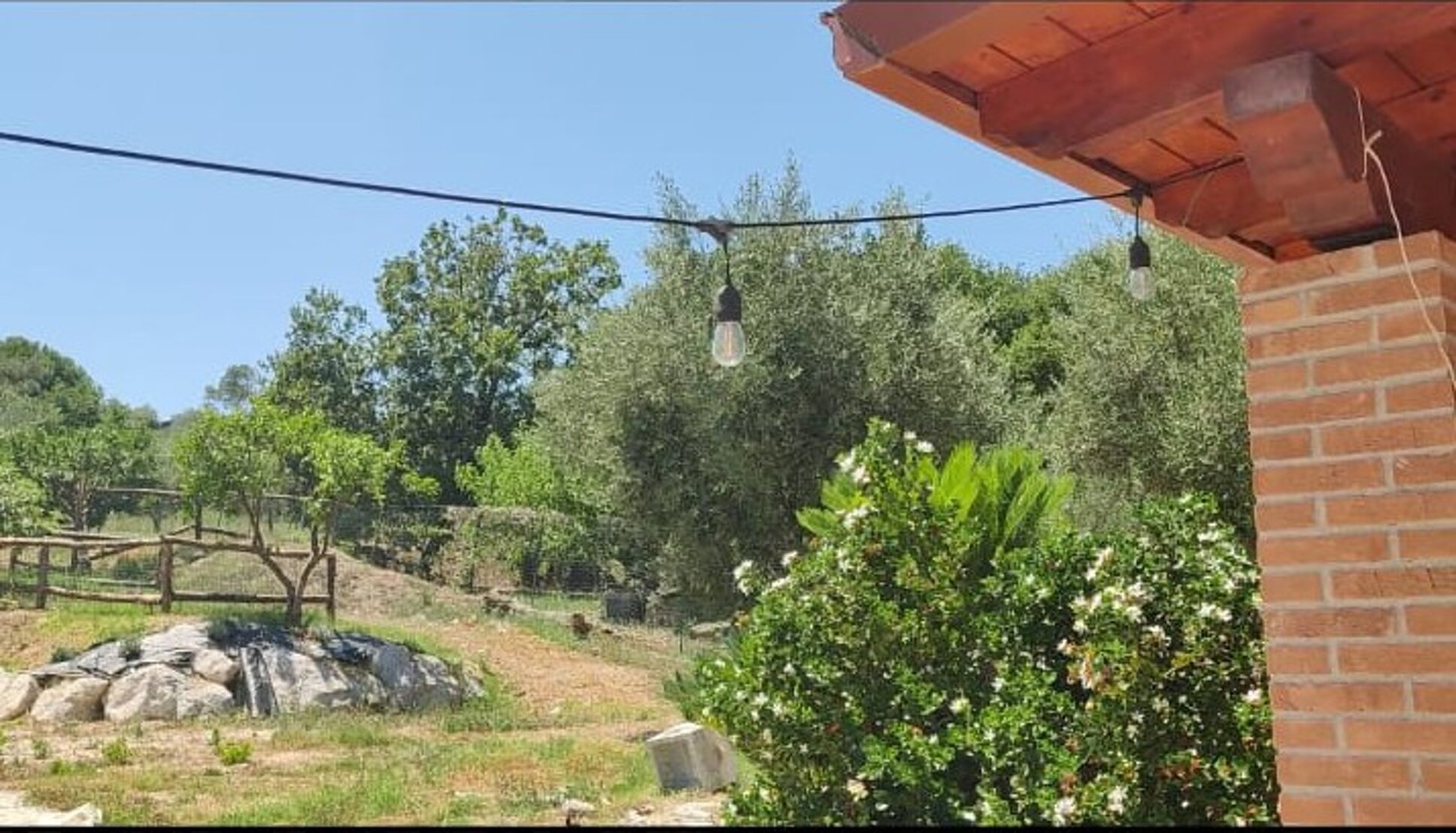 immagine whatsapp 2025-07-27 ore 19.09.36_c1b26365.jpeg