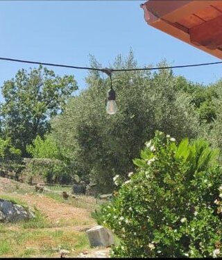 immagine%20whatsapp%202025-07-27%20ore%2019.09.32_423edd83.jpeg