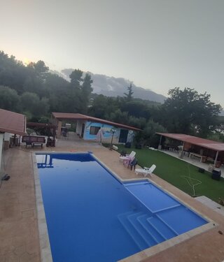 immagine whatsapp 2025-07-27 ore 18.21.23_19b483fe.jpeg