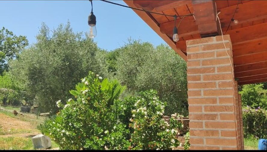 immagine whatsapp 2025-07-27 ore 19.09.36_b2bd9220.jpeg