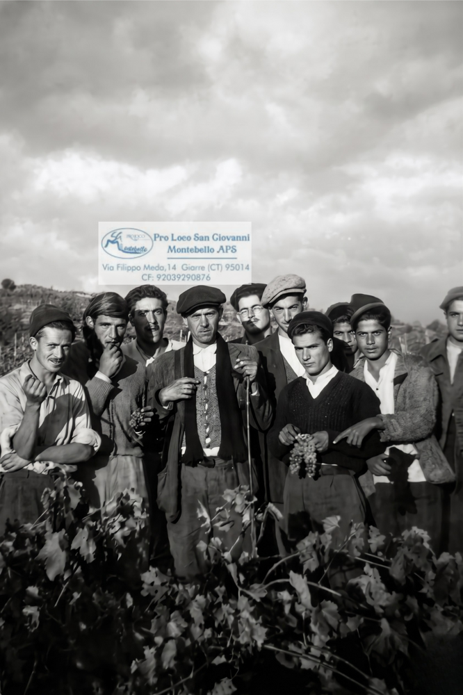 progetto senza titolo (10)