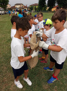 2e585fb3ac1e73866070790723ec641a3ce9bf67