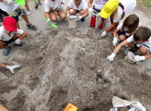 88d8436a907bcc692d5468891b053245ea43d801