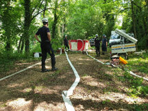 f6bf65e10b243c60e390f97f995848ba4bda40f4