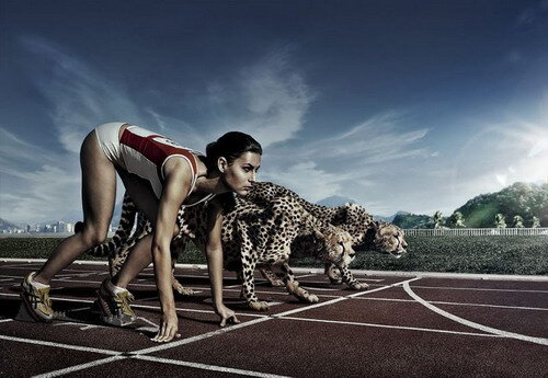 eba28ce14698b9ded17651a3c21d9b194acbb0f6