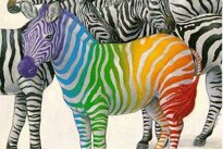 957701bc40aa830cea3084271c42ce42217a314a