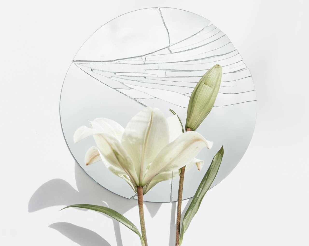 Violenza nelle relazioni affettive