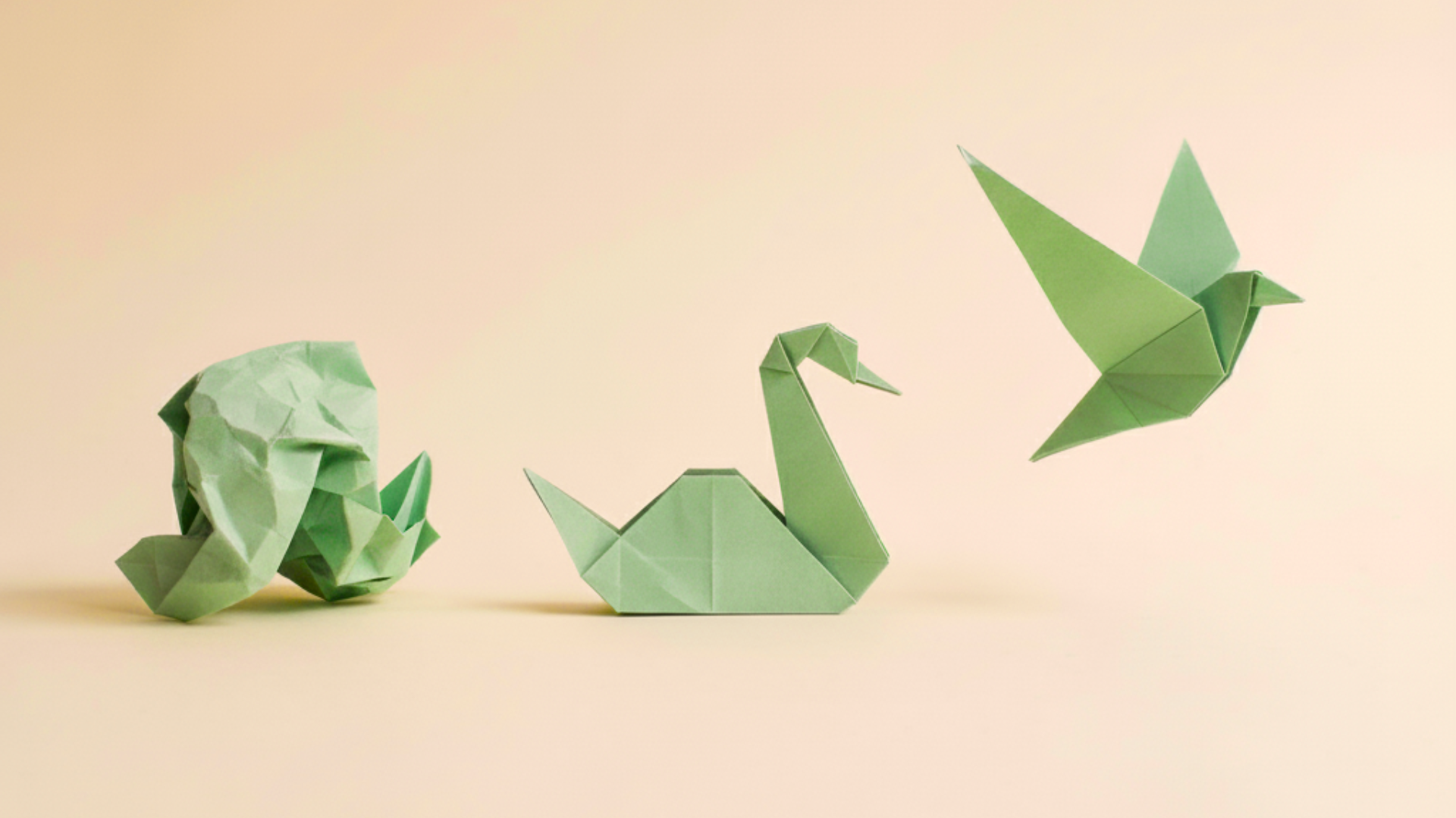 Il primo colloquio dallo psicologo psicoterapeuta si paga?