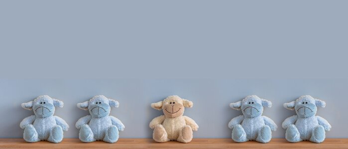 teddy-bears-5474640_1280.jpeg teddy-bears-5474640_1280.jpeg