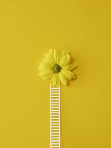 benessere psicologico.jpeg benessere psicologico.jpeg