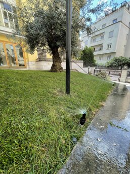 img_3217.jpeg