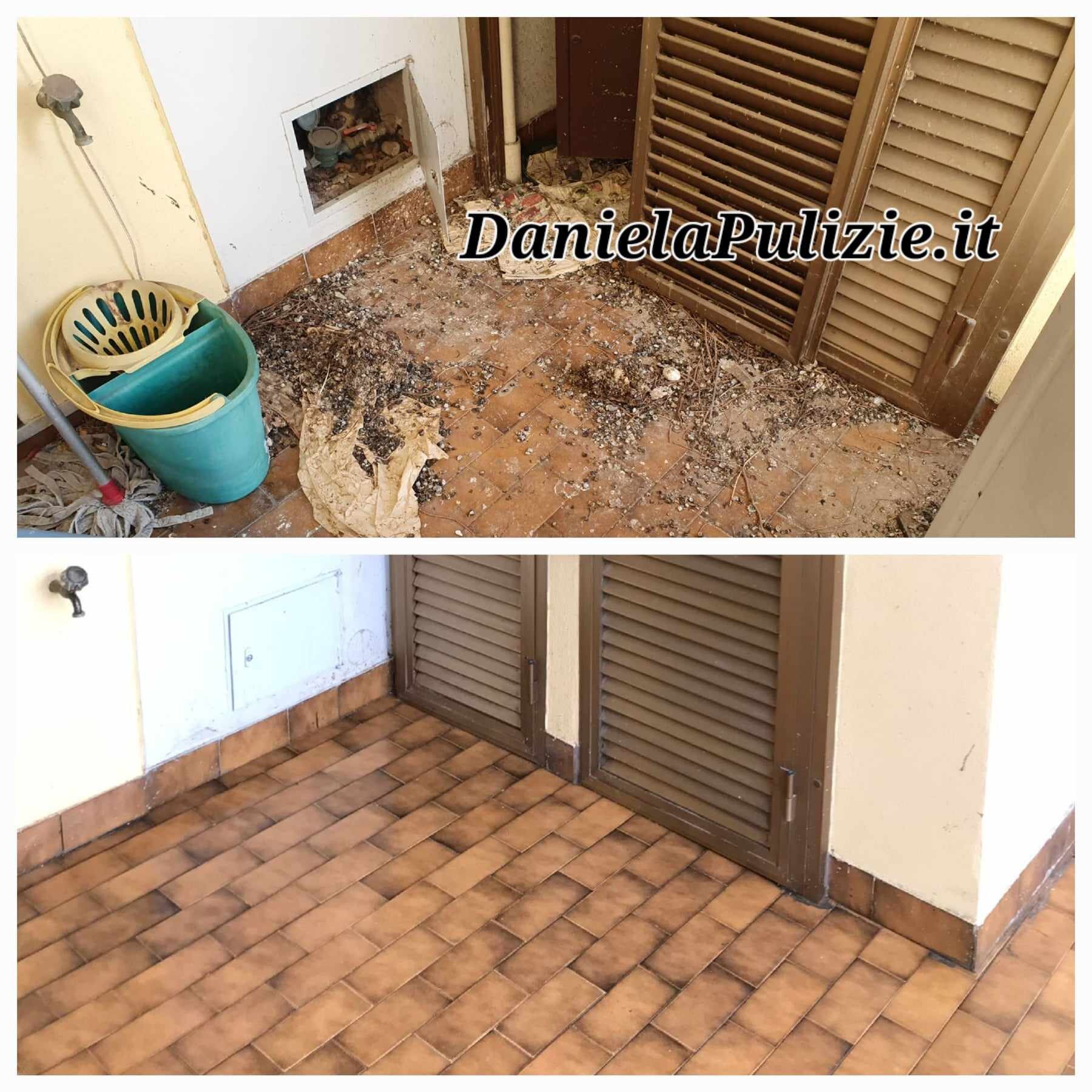 Guida completa alla pulizia del guano dei piccioni: Domande e Risposte, Consigli e Soluzioni