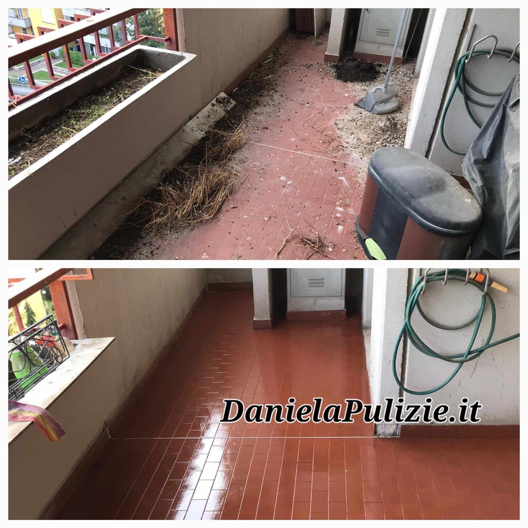 Il Guano di Piccione: Rischi, Pulizia e Importanza di un Intervento Tempestivo
