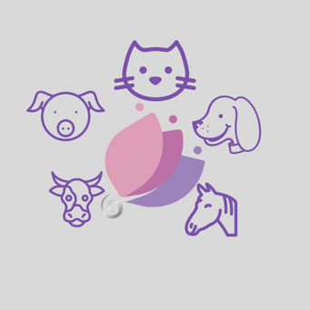 Radhika Reiki agli animali Logo di Radhika - il Reiki & gli animali