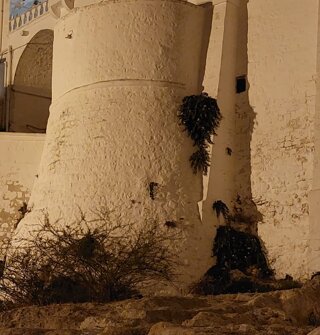 ostuni.jpeg ostuni.jpeg