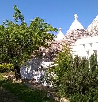 trullo%20gatto.jpeg trullo%20gatto.jpeg
