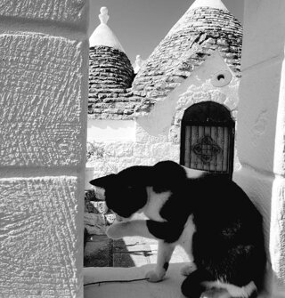 trulli.jpeg trulli.jpeg