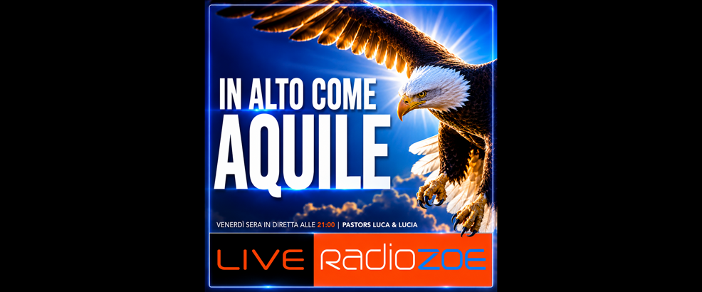 in alto come aquile aruba in alto come aquile aruba
