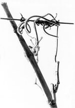 5721efe470971cbf5314fa40ff2a82c9812beca3