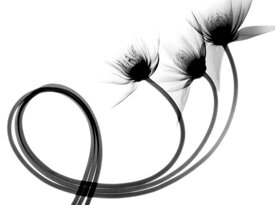 67dfcc4dcf0ab700730b8c20fc6f7f958e164801