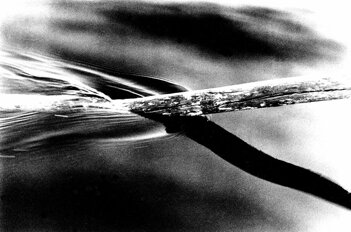 d1deb2a7c485c029840a05fd2d779e4379734433