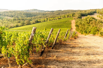 0635c5511df79d01f622776276d5469c6a07c81d