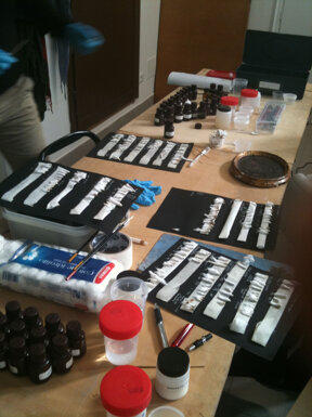 49becc137dccec6d521c4e4f137e8aed08424b86