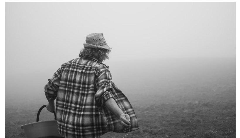 screenshot 2025-10-26 155520