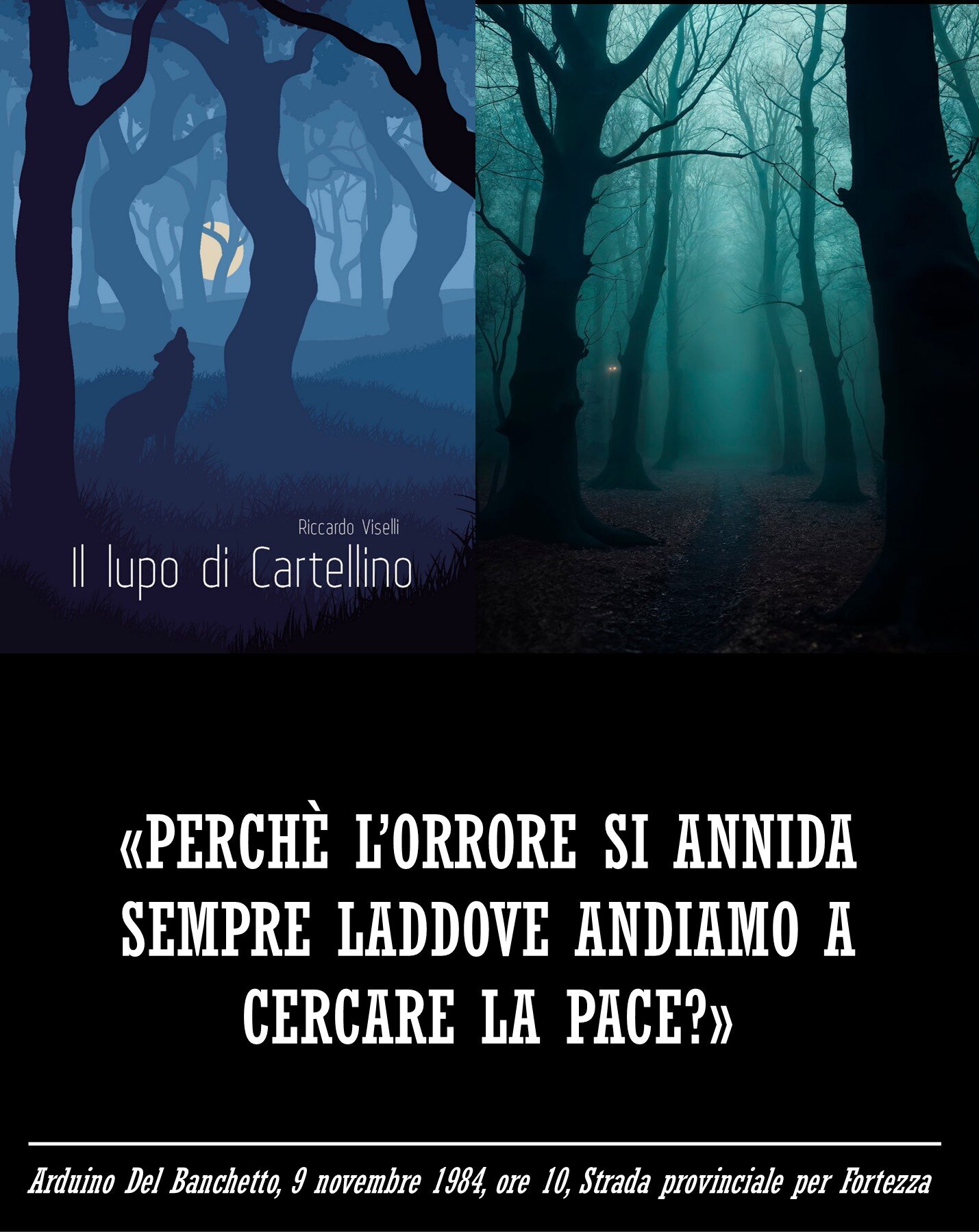 cerchi tranquillità, trovi l'orrore