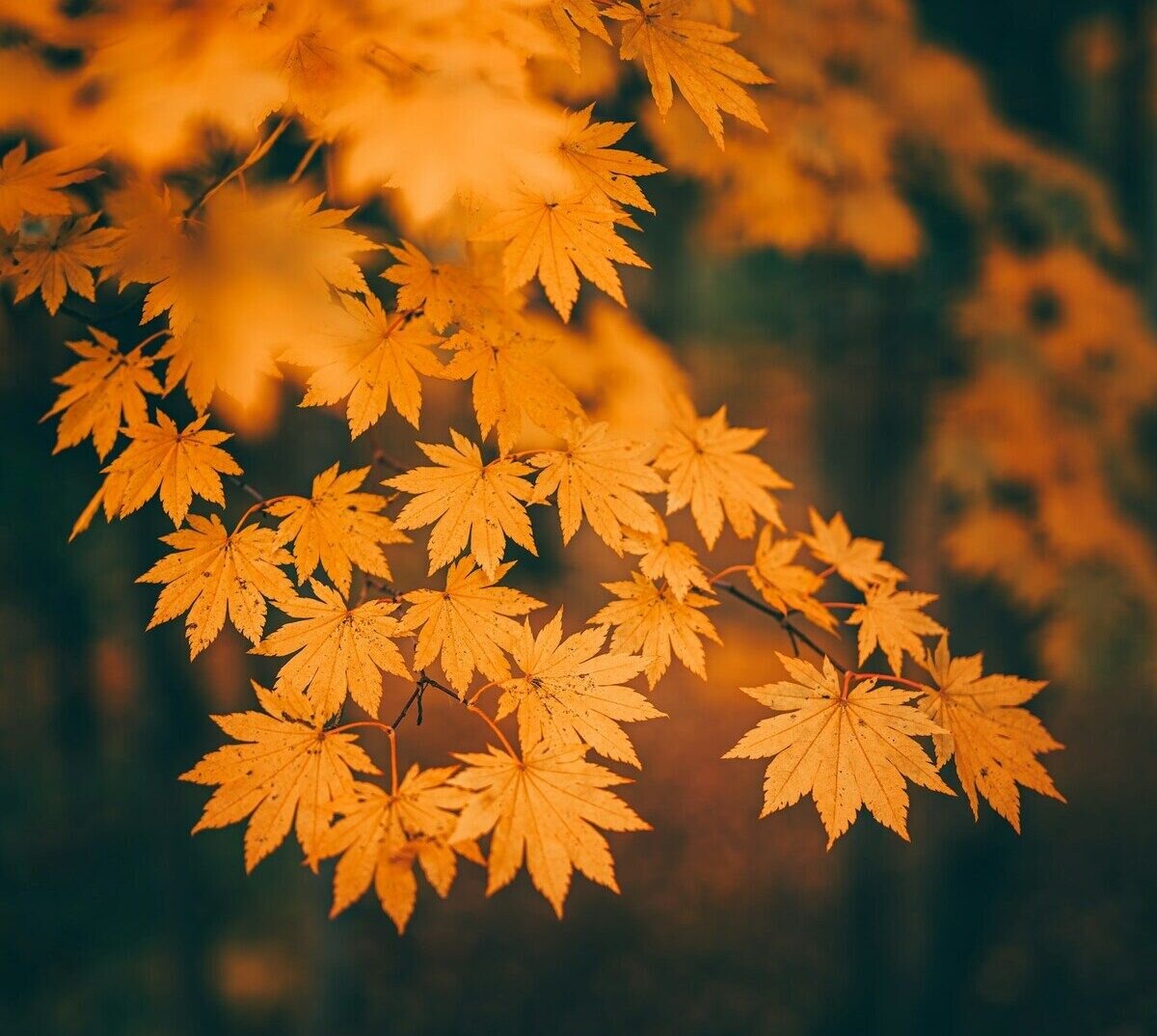 Luna 1 - Giorno 1 - 8 novembre 1984