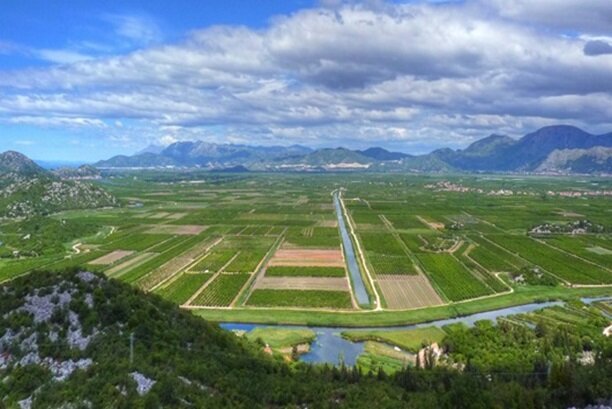 Area climatica Cfa - Aree temperate umide con estate calda Area climatica Cfa - Aree temperate umide con estate calda