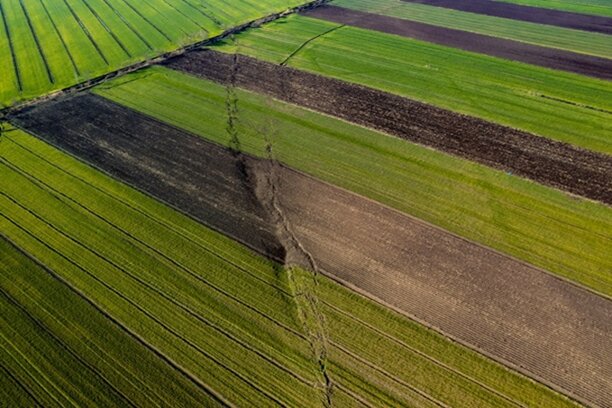 La sorgente sismogenetica Bacino di Bojano La sorgente sismogenetica Bacino di Bojano