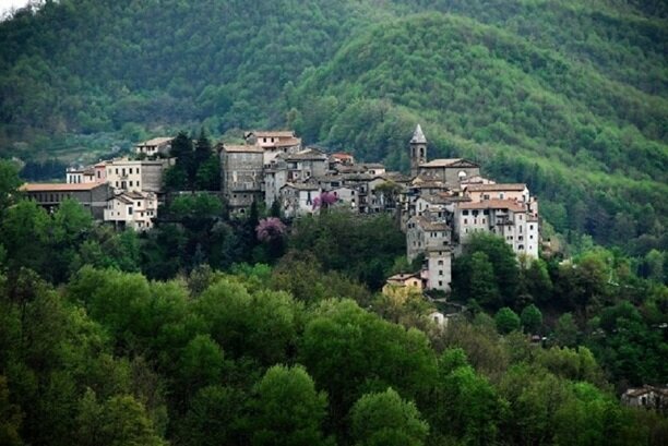 Lo sciame sismico di Vicovaro - Mandela (RM, Lazio) del dicembre 2020